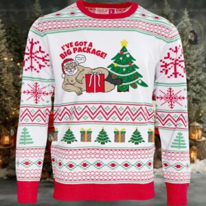 2025 I’ve Got A Big Package Santa Ugly Christmas Sweater