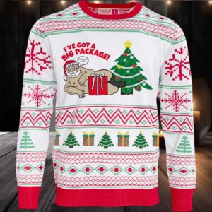 2025 I’ve Got A Big Package Santa Ugly Christmas Sweater