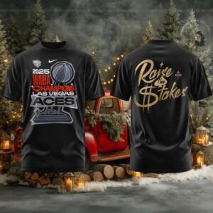 2025 WNBA Finals Champions Las Vegas Aces Raise the Stakes 2 sided t shirt