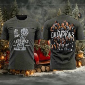 2025 WNBA Finals Champions Las Vegas Aces Stadium Essentials 2 sided t shirt